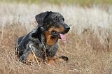 BEAUCERON 553